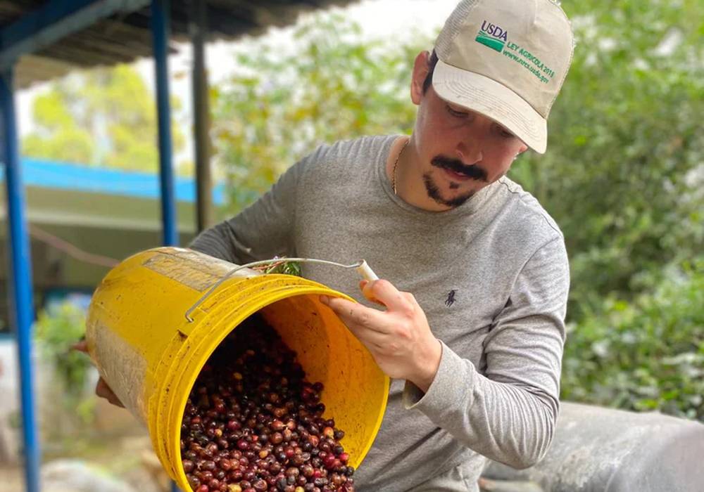 The Pérez brothers and the Blessing of Toro Negro