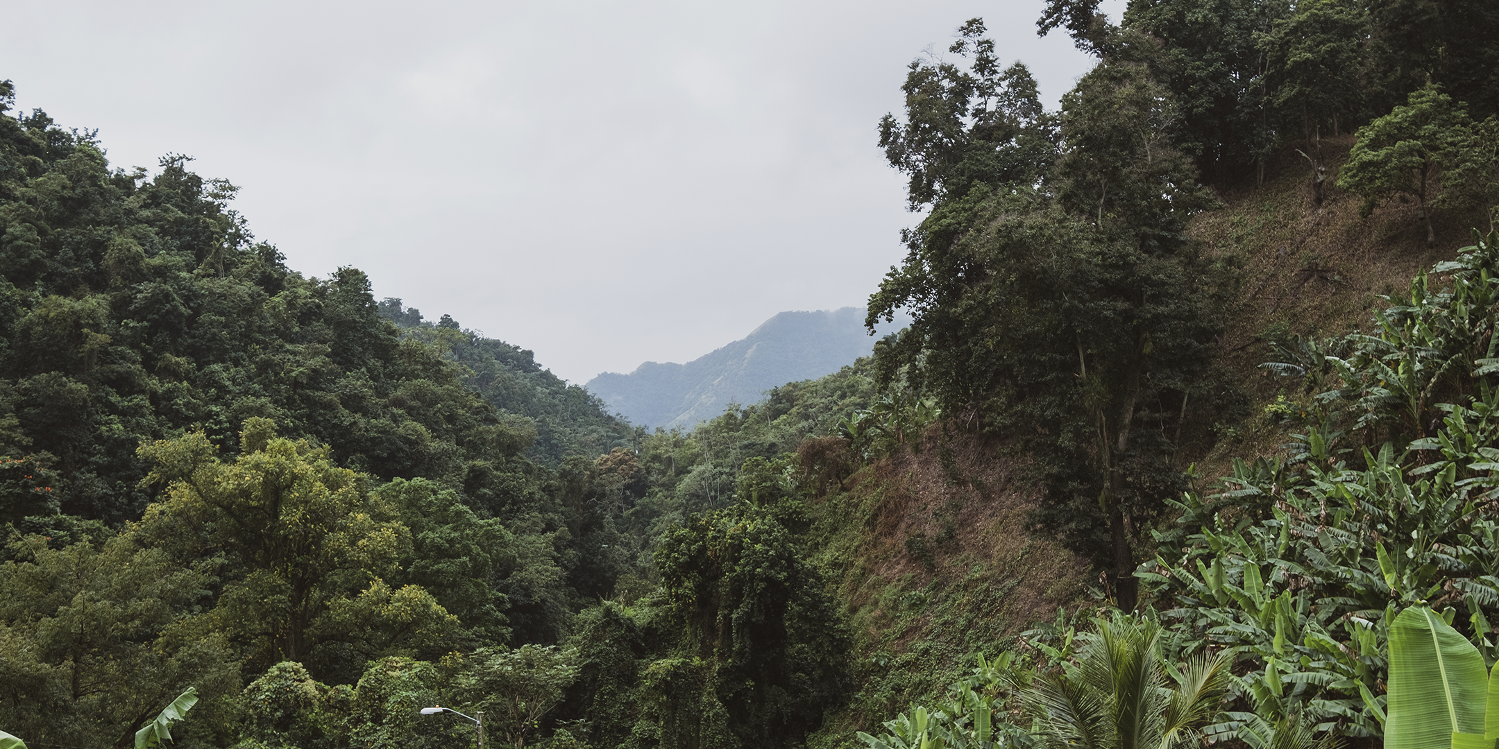Utuado