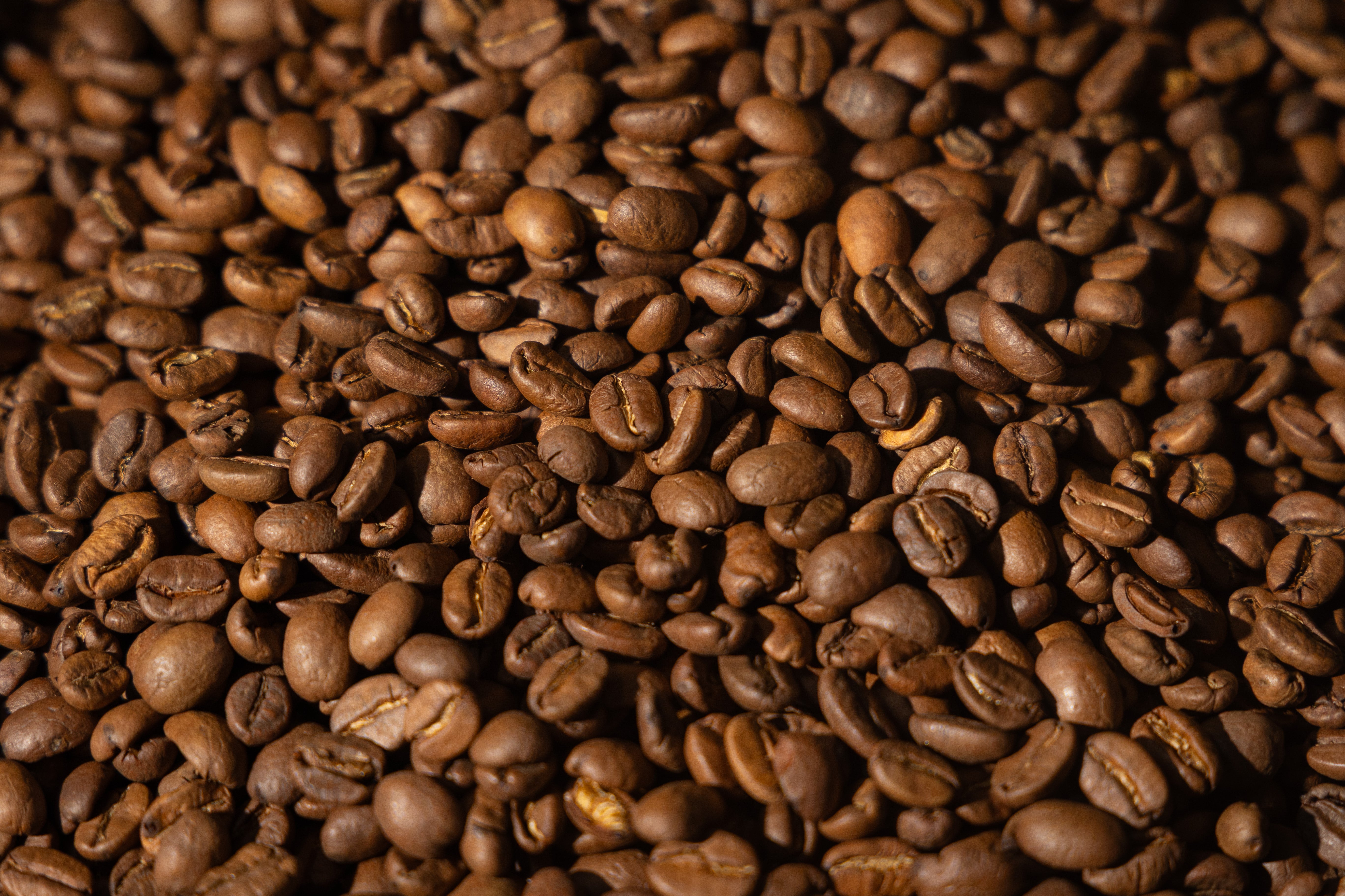 Café Don Pello Specialty - Yauco