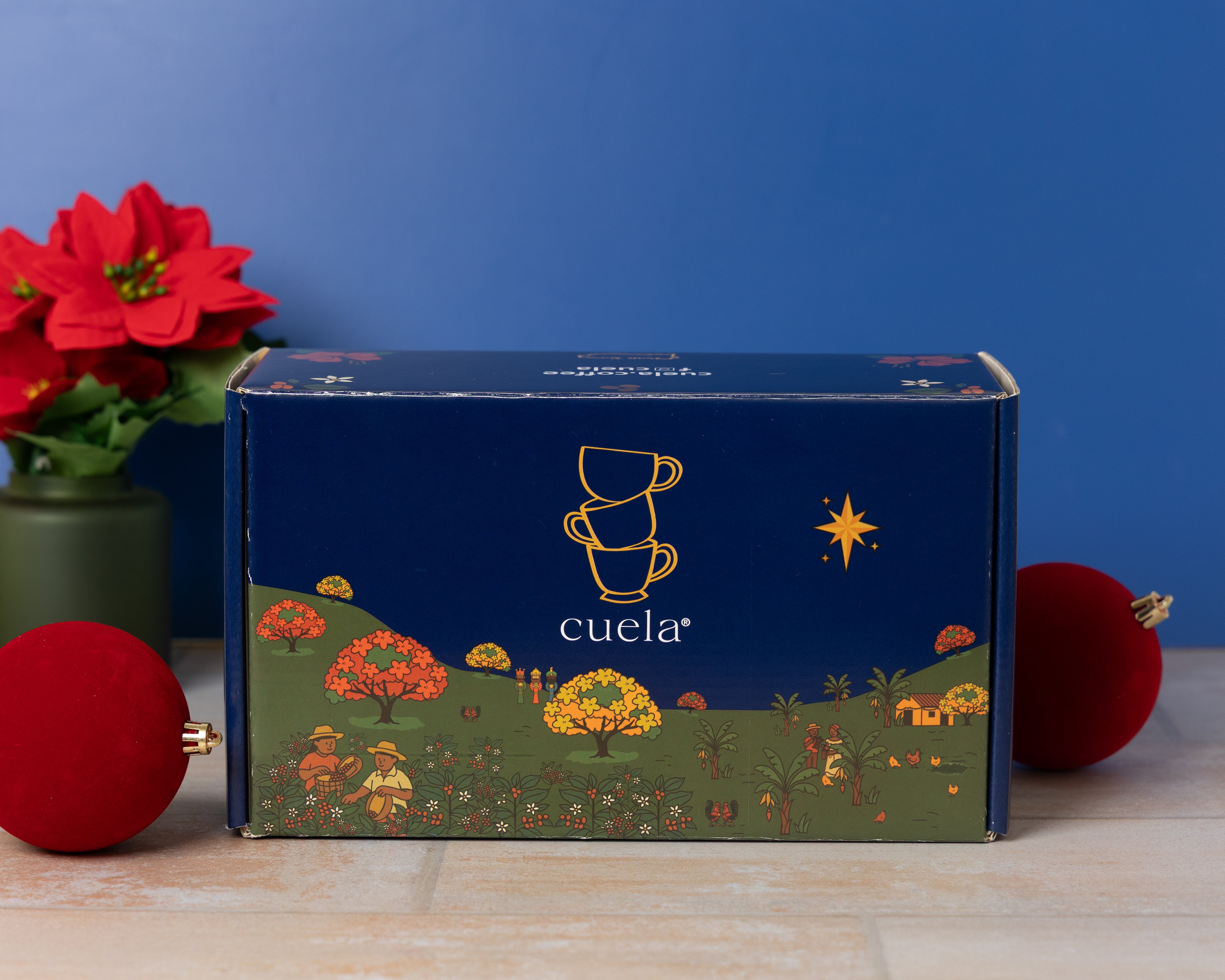 Christmas Cuela Box 2025 "Our Traditions"