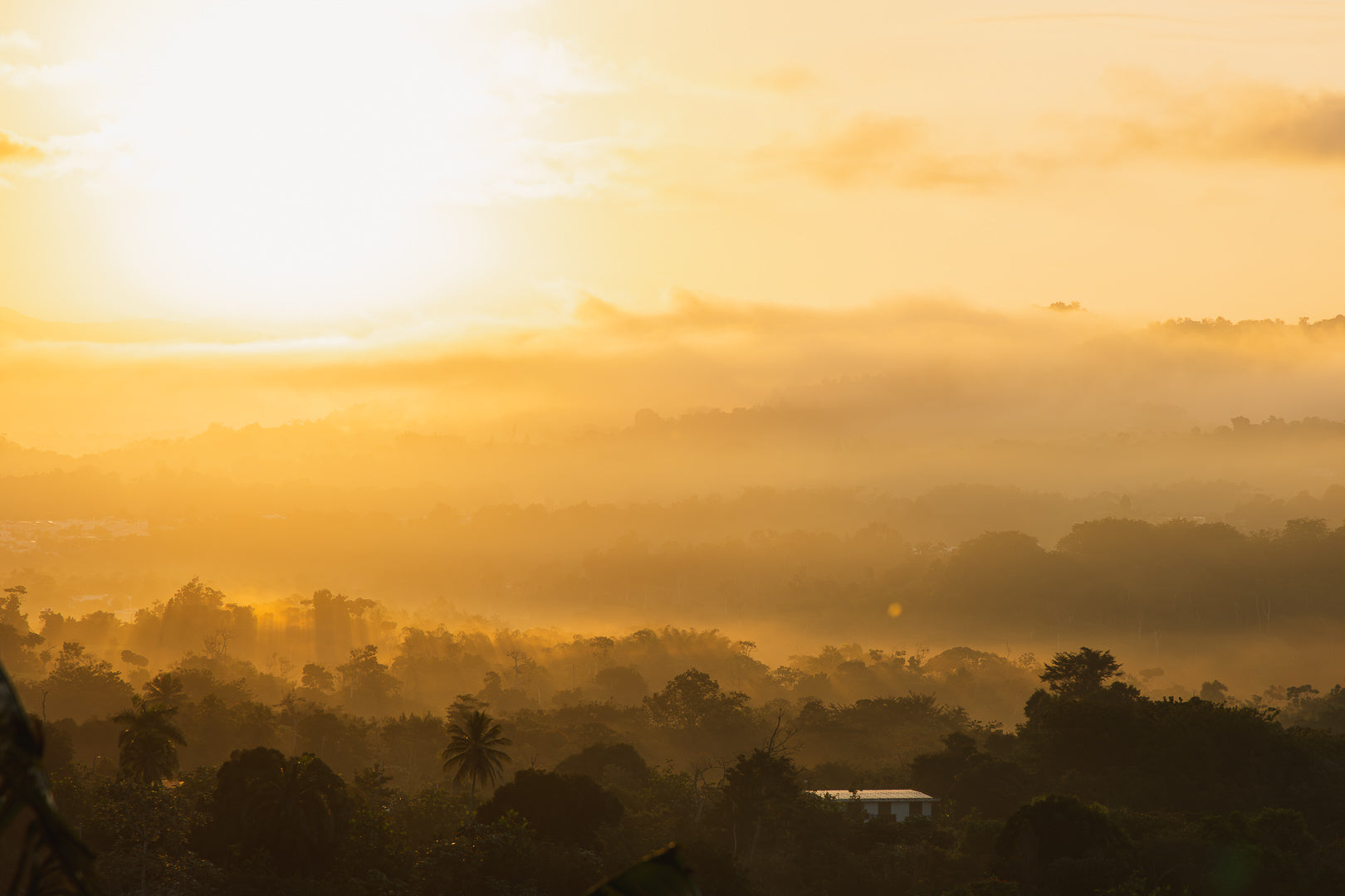 Cuela Coffee Journeys: The Hidden Coffee Stories from Puerto Rico