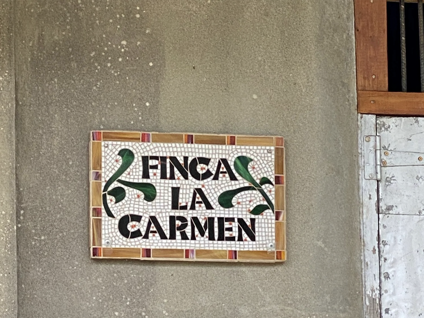 Finca La Carmen, a Coffee Idyl