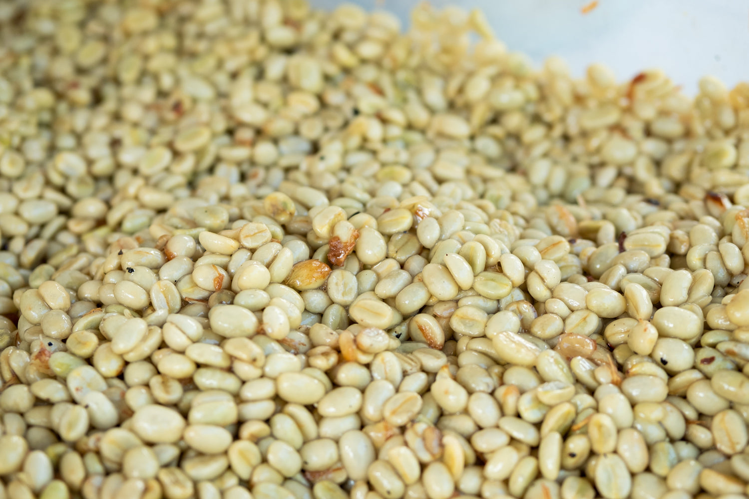 Processing Washed Coffee for Dummies