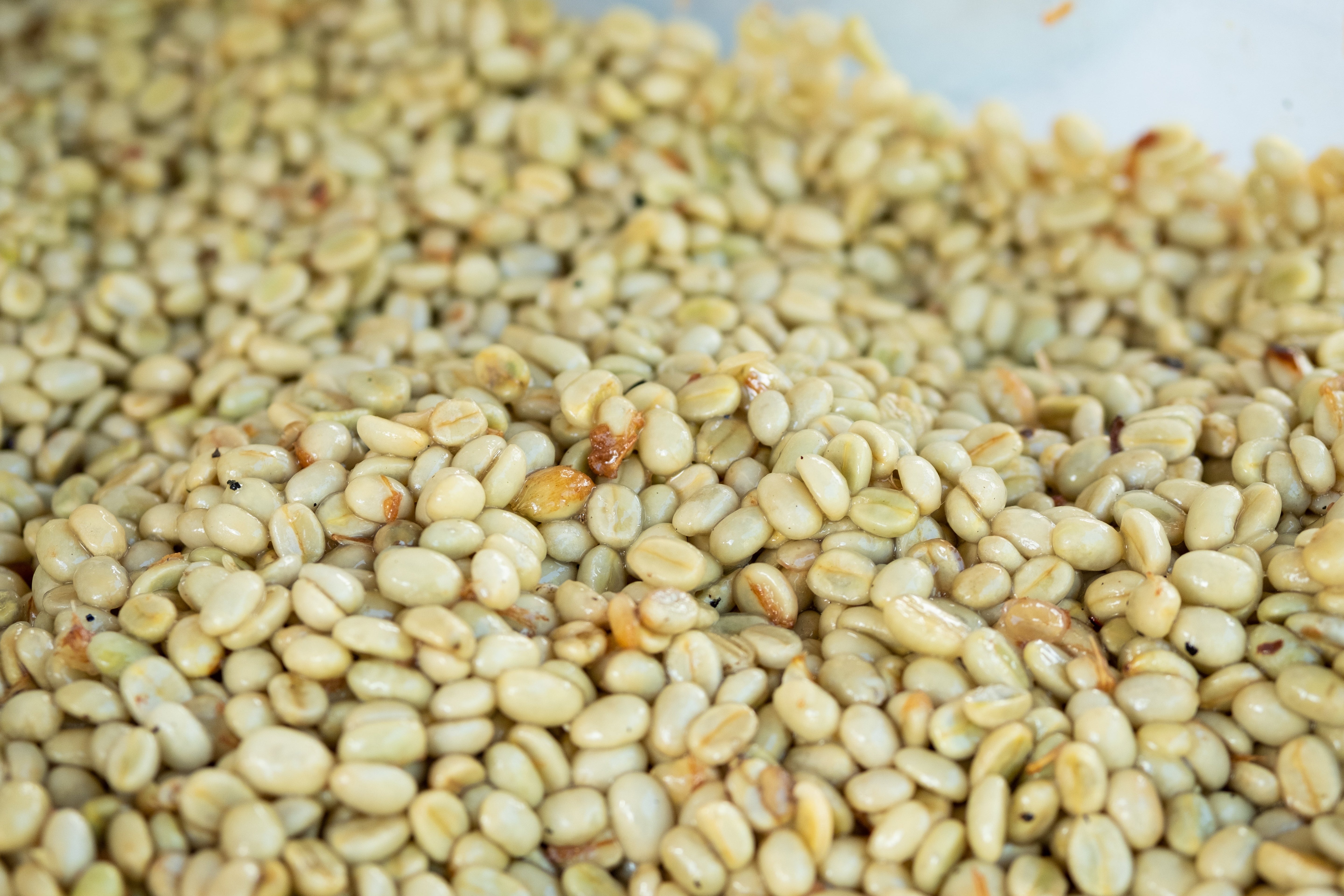 Processing Washed Coffee for Dummies